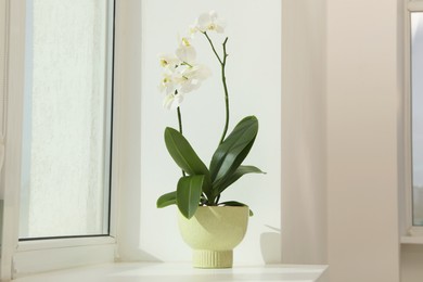 Blooming white orchid flower in pot on windowsill