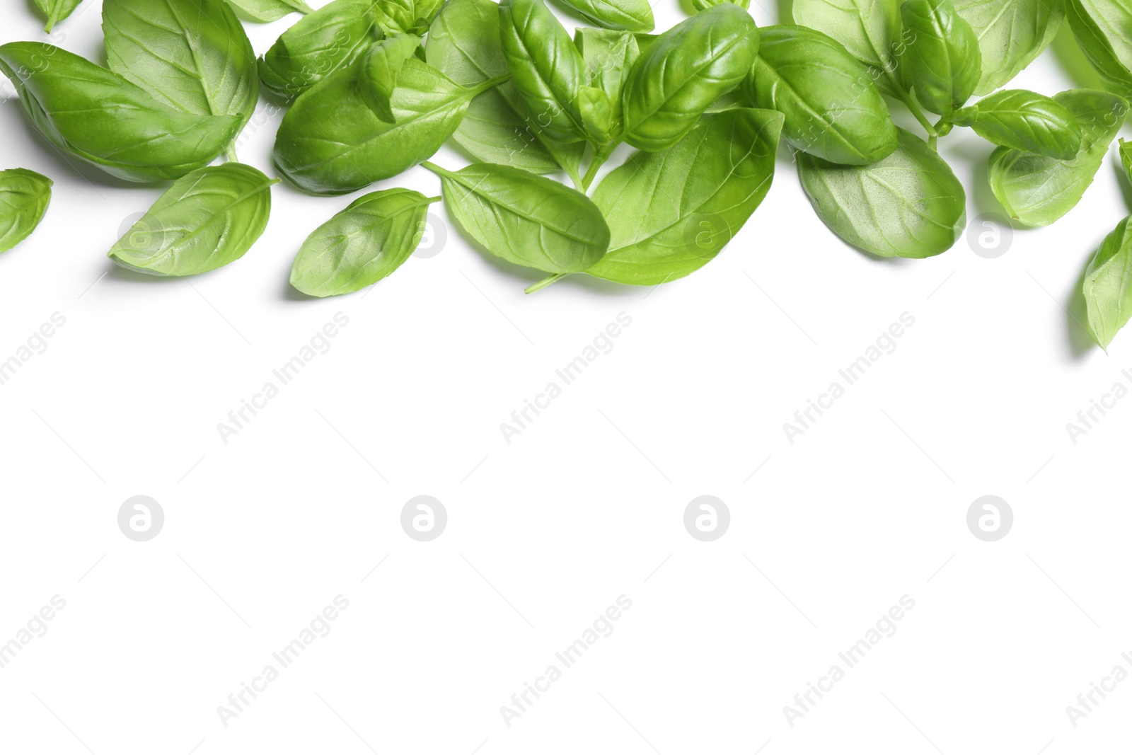 Photo of Fresh green basil leaves on white background, top view