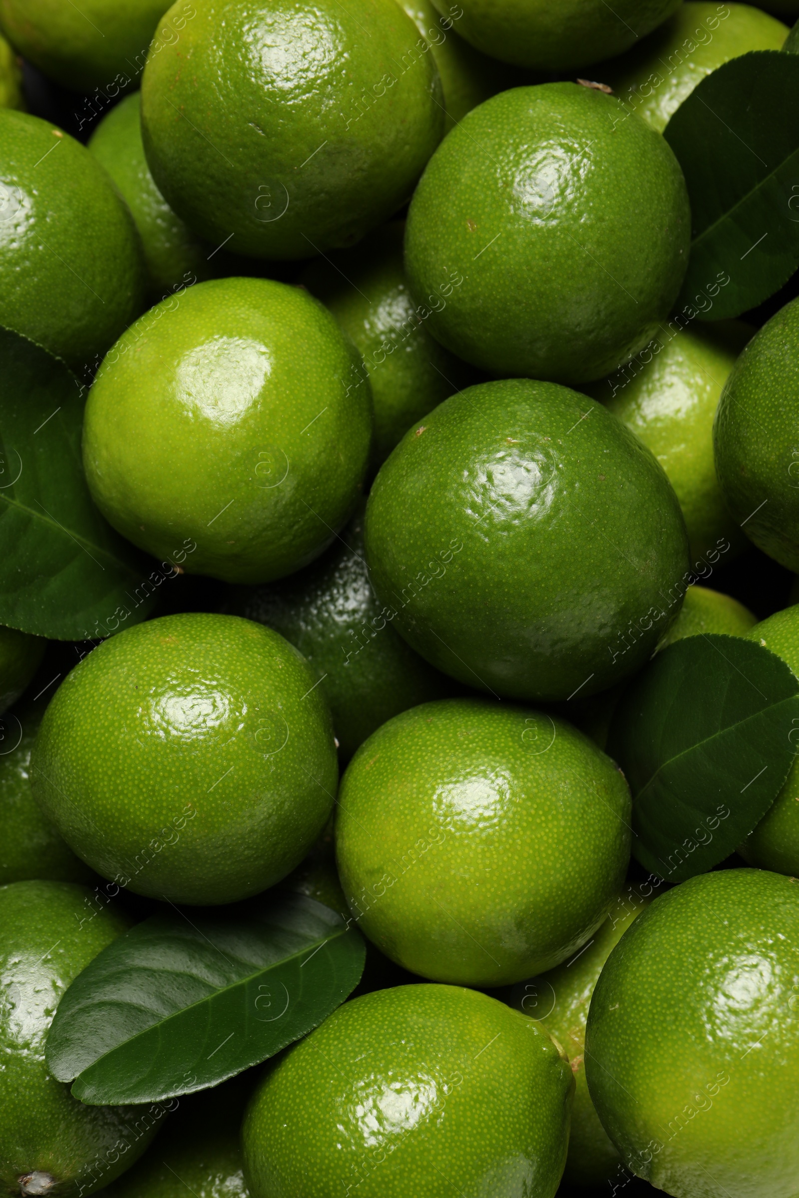 Photo of Fresh ripe limes and leaves as background, top view