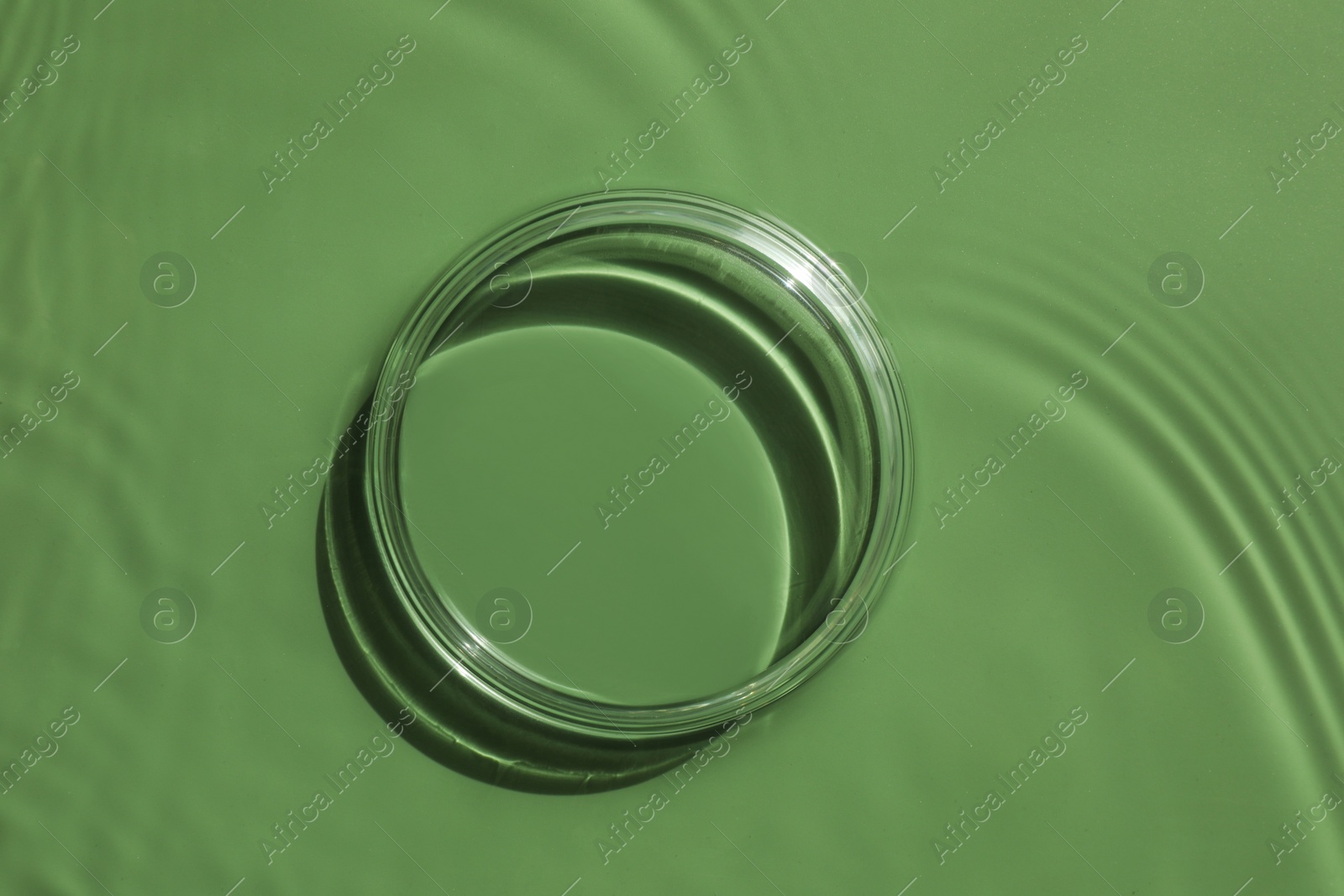 Photo of Stylish presentation for product. Glass podium in water on pale green background, top view