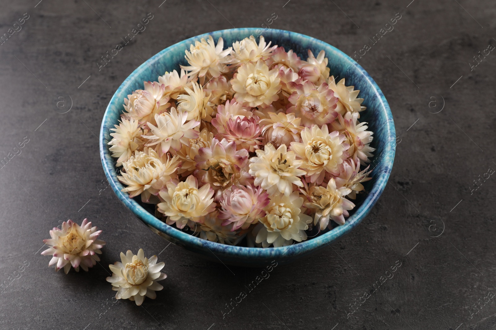 Photo of Bowl with dried strawflowers on grey table