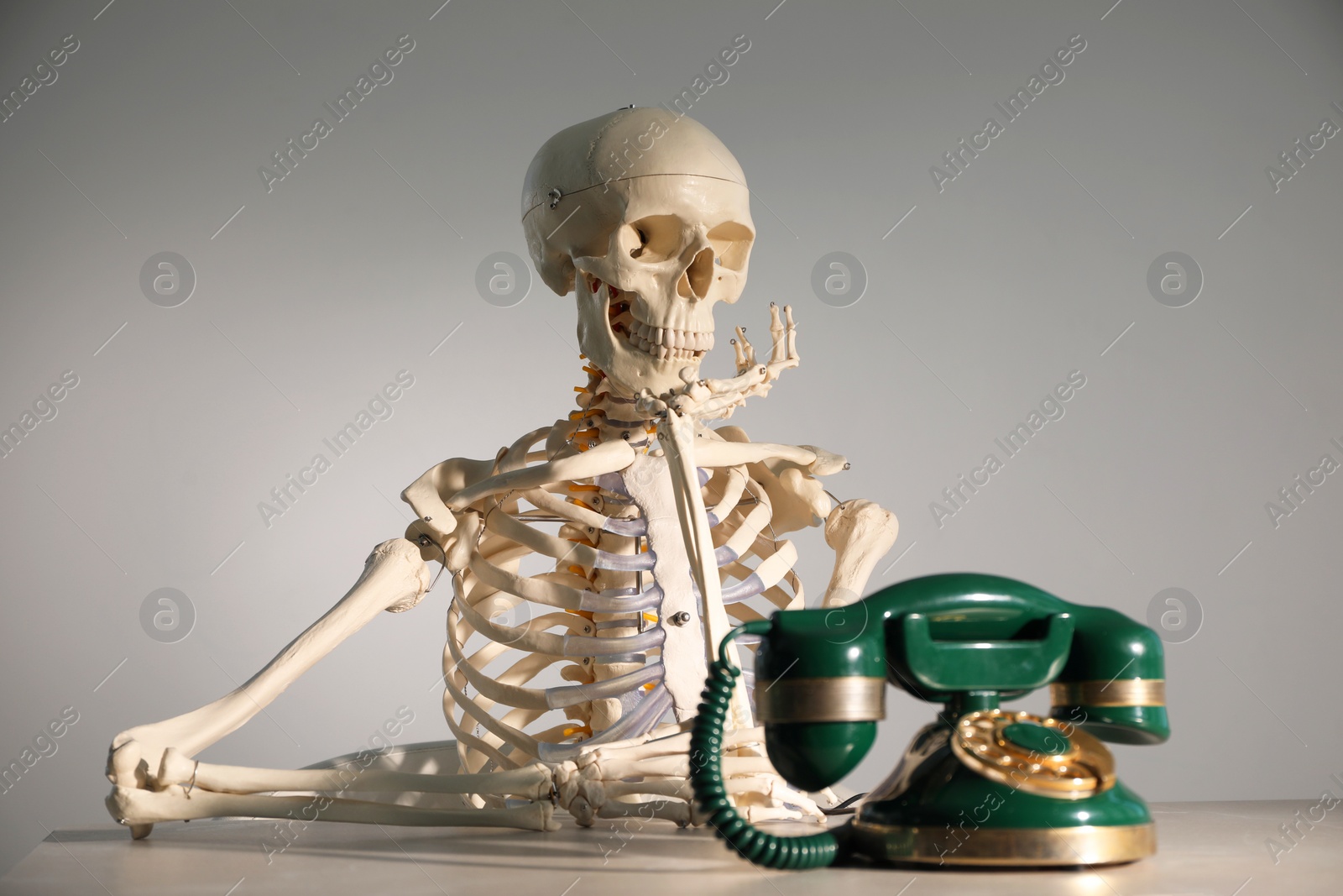 Photo of Waiting concept. Human skeleton at table with corded telephone against grey background