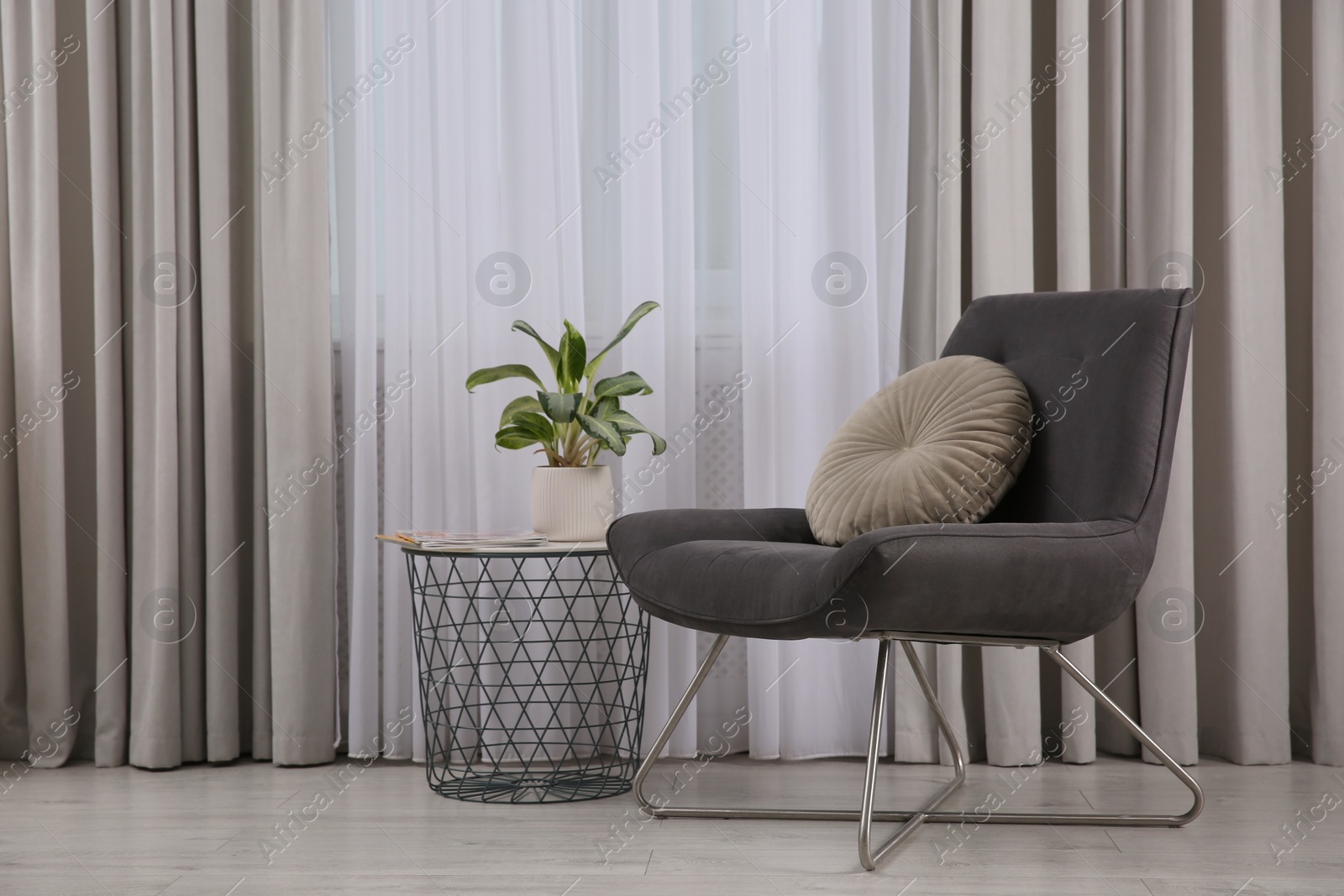 Photo of Comfortable armchair and plant near window indoors. Interior design