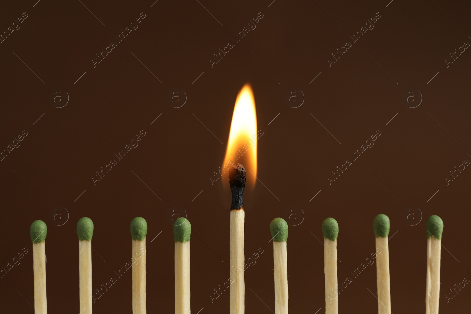 Photo of Burning match among unlit ones on brown background, closeup