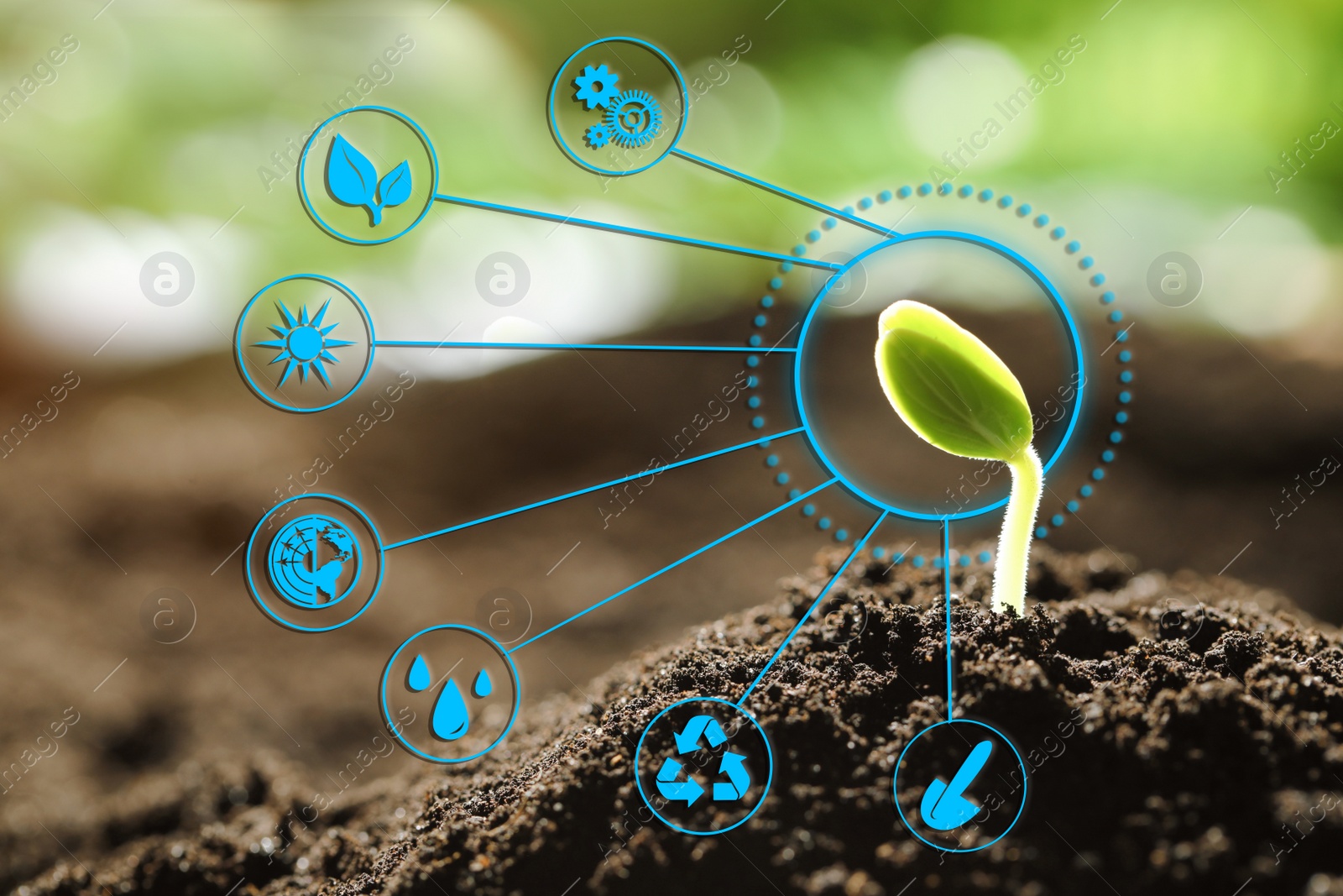 Image of Modern technology in agriculture. Green seedling and icons