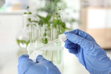 Photo of Lab assistant dropping liquid on microscope slide against blurred background, closeup. Plant chemistry