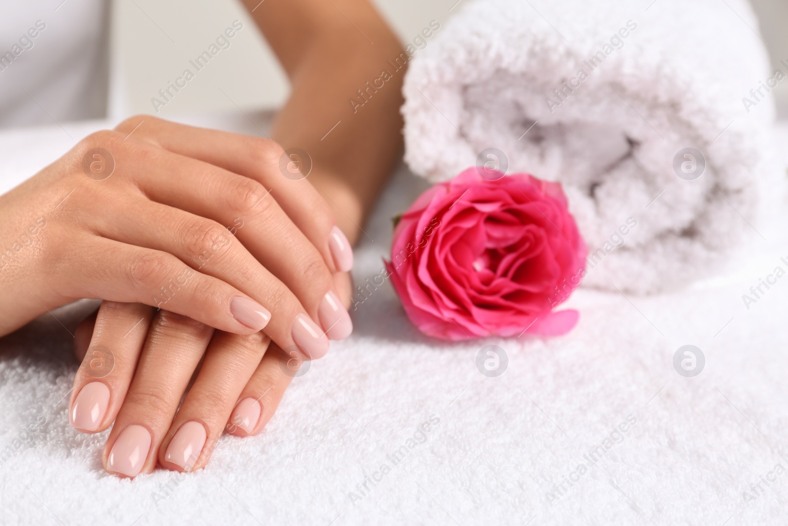 Photo of Closeup view of beautiful female hands and rose on towel, space for text. Spa treatment
