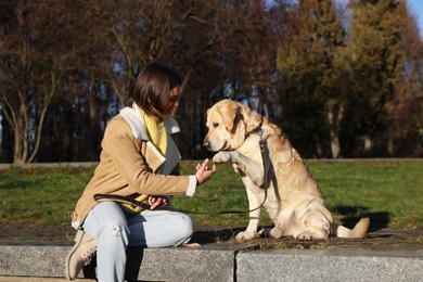 Adorable Labrador Retriever giving paw to beautiful woman in park