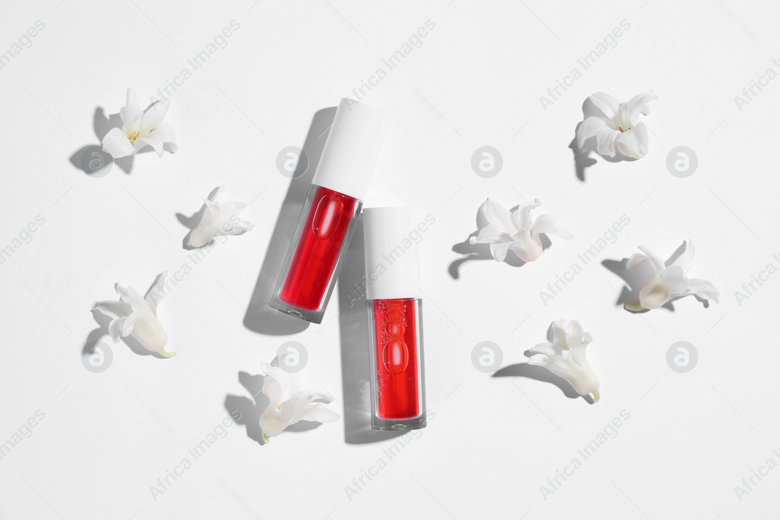 Photo of Bright lip glosses and flowers on white background, flat lay