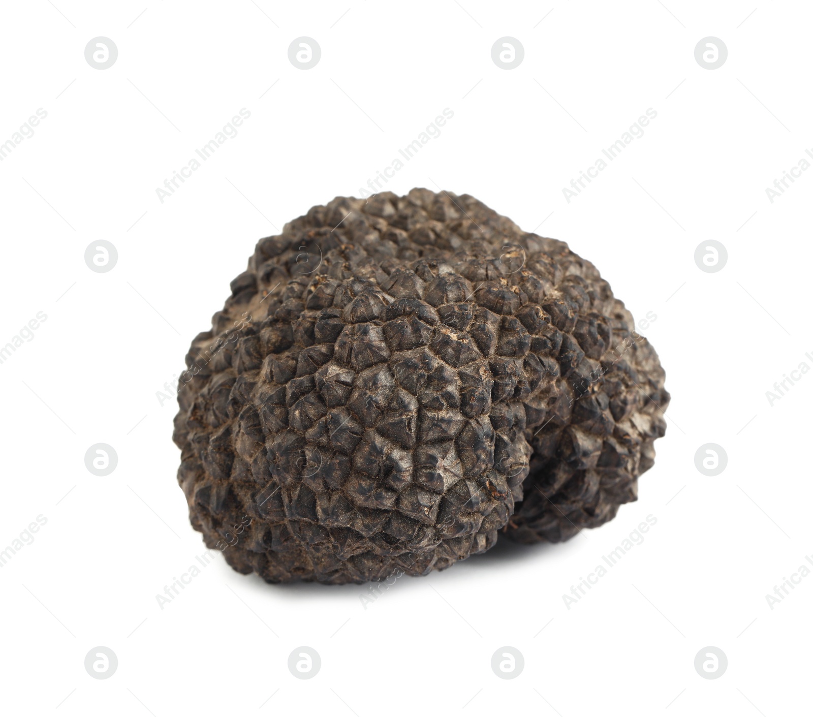 Photo of One whole black truffle isolated on white