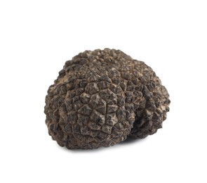 One whole black truffle isolated on white