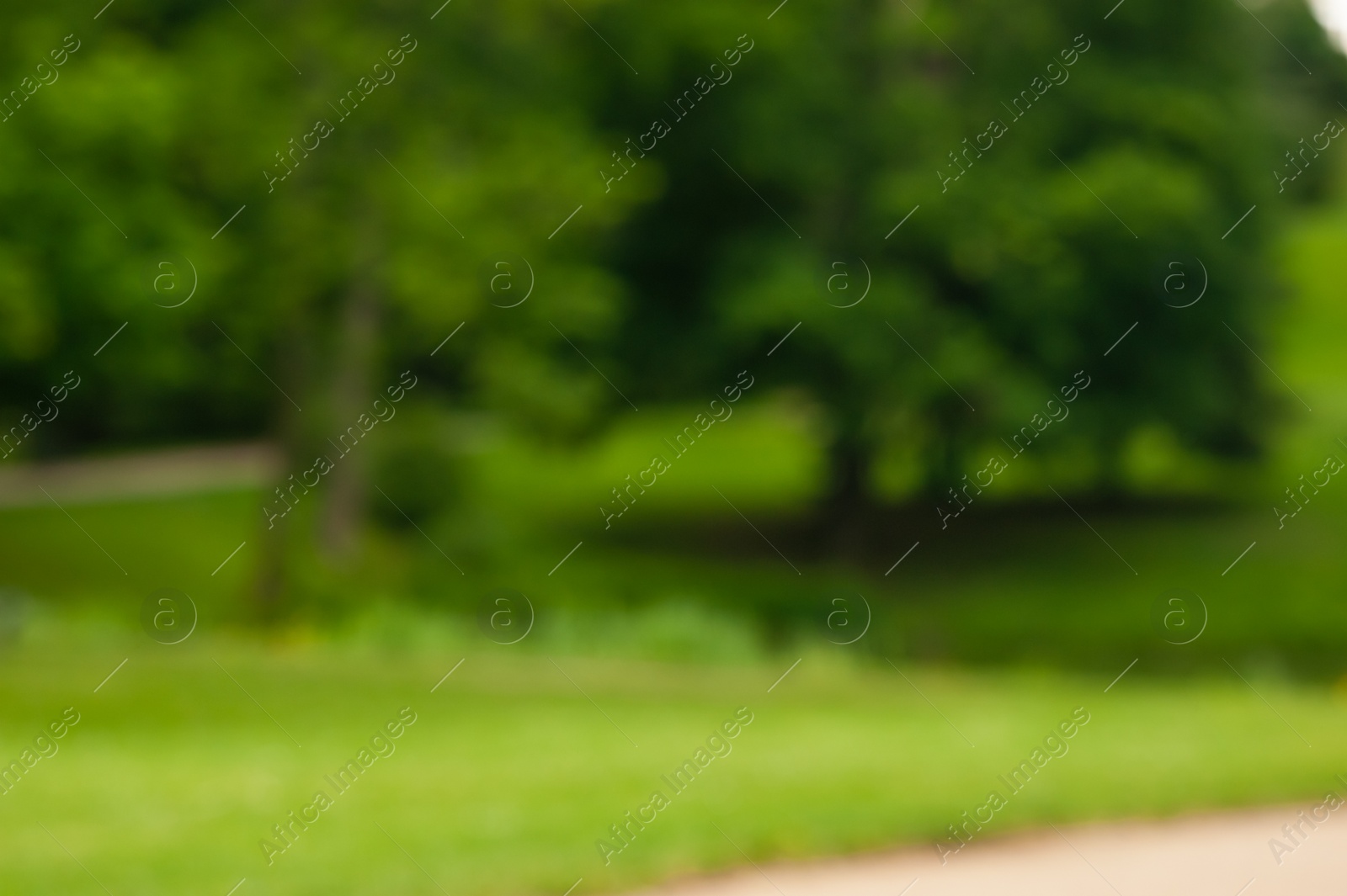 Photo of Blurred view of beautiful green lawn with freshly mown grass in park