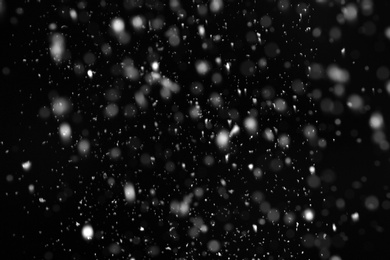 Snow flakes falling on black background. Winter weather