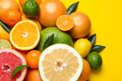 Different ripe citrus fruits with green leaves on yellow background, flat lay