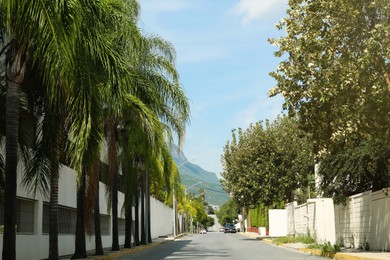 Picturesque view of city street and palm trees