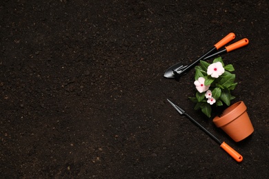 Flat lay composition with gardening tools and flower on soil, space for text