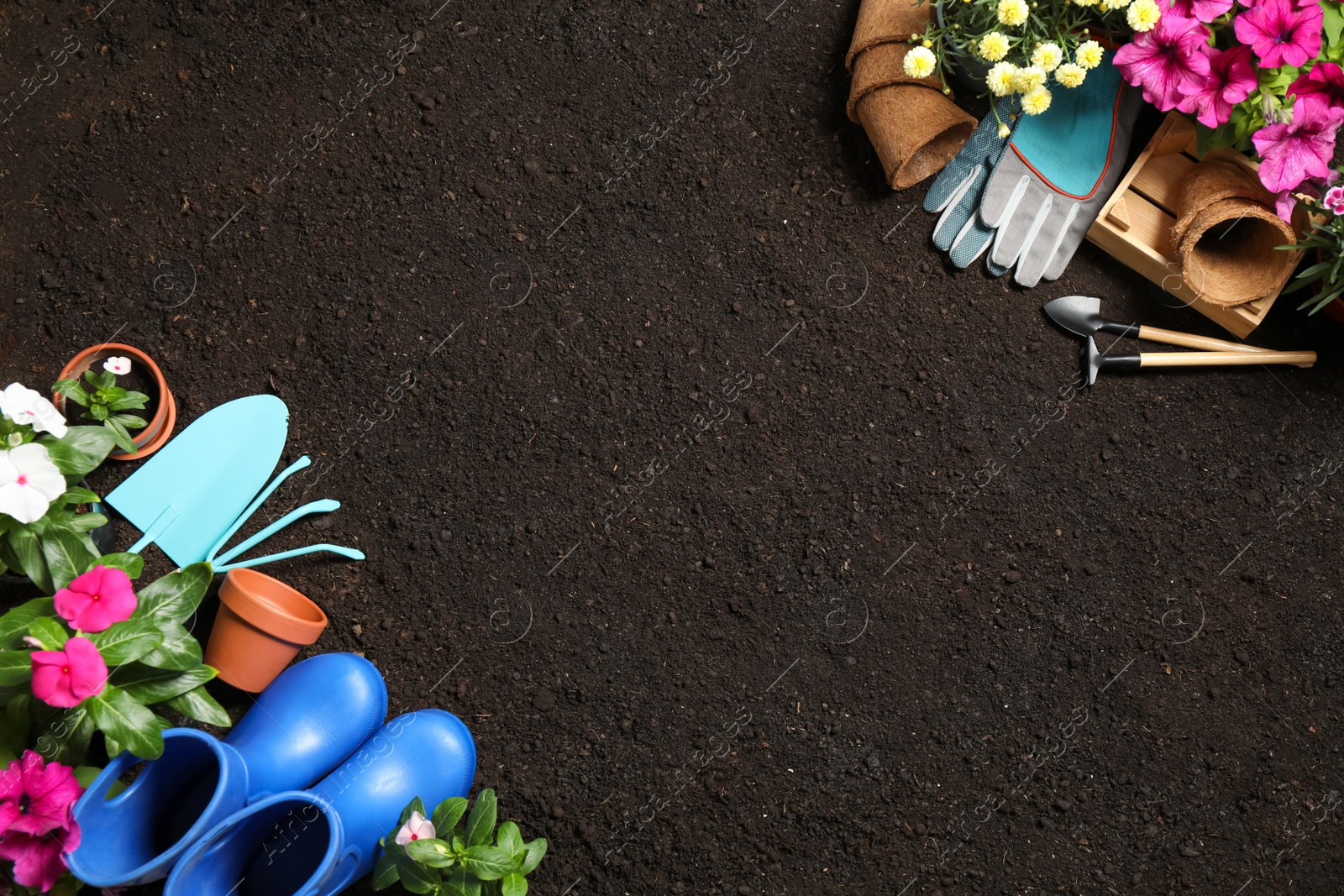 Photo of Flat lay composition with gardening equipment and flowers on soil, space for text