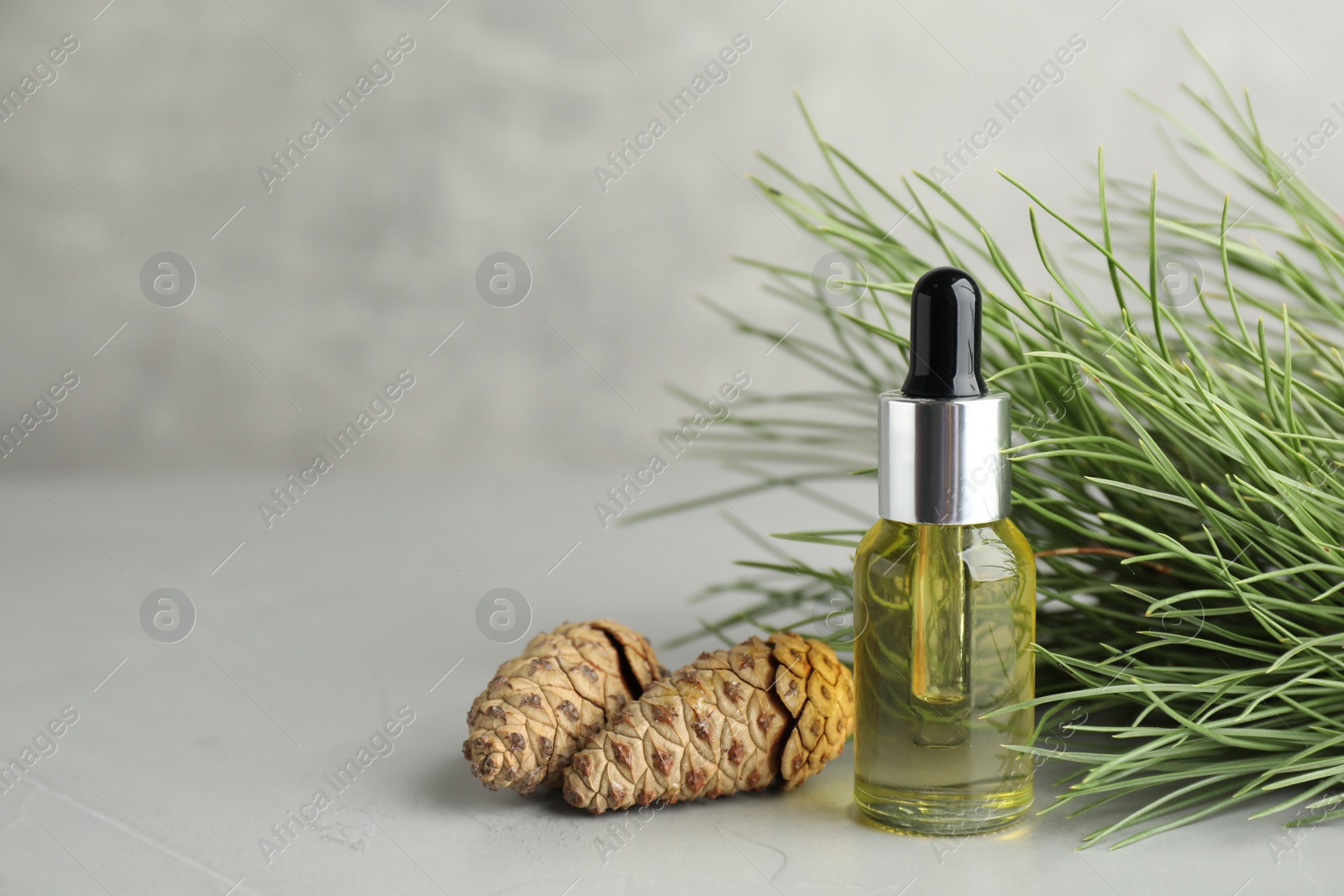 Photo of Pine essential oil, cones and branches on light grey table. Space for text