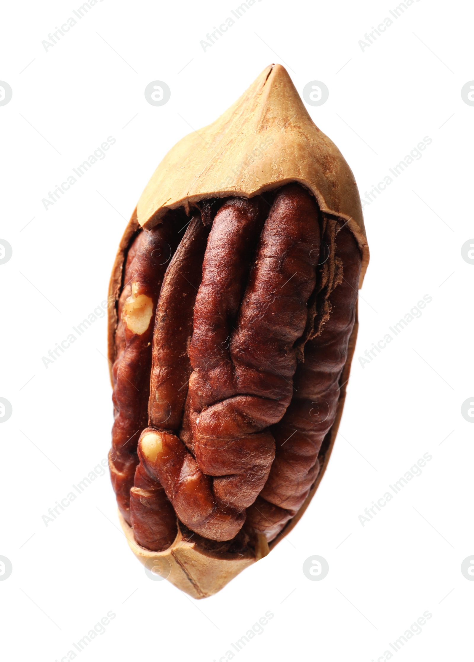 Photo of Tasty pecan nut with shell isolated on white