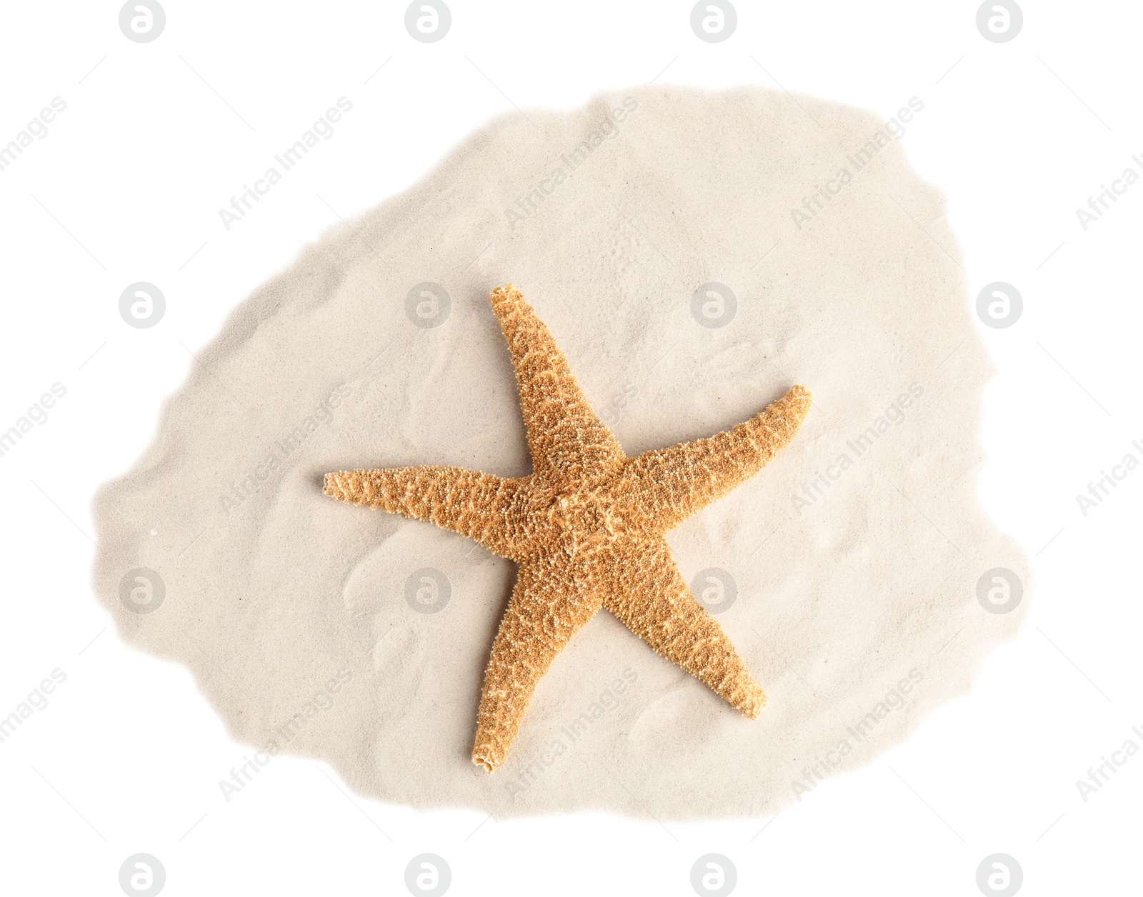 Photo of Pile of beach sand with beautiful starfish on white background, top view