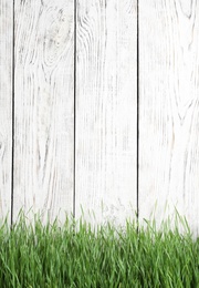 Photo of Fresh green grass near white wooden fence. Space for text