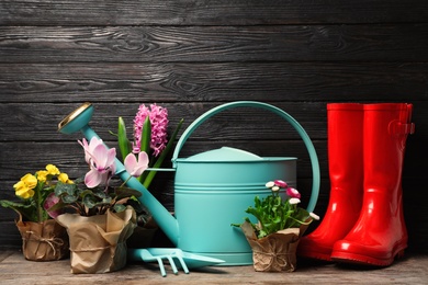 Photo of Composition with plants and gardening tools on table against wooden background