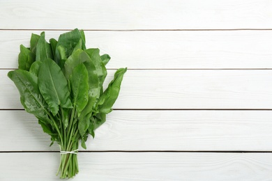 Fresh green sorrel leaves on white wooden table, top view. Space for text