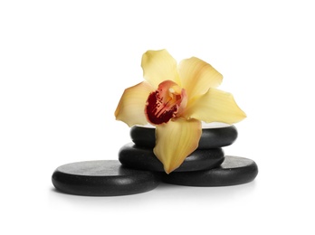 Photo of Black spa stones with orchid flower on white background