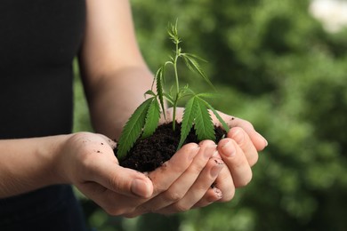 Photo of Woman holding green hemp plant in soil outdoors, closeup