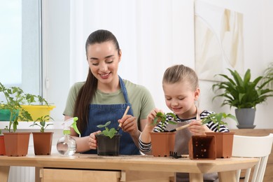 Photo of Mother and daughter planting seedlings into pots together at wooden table in room