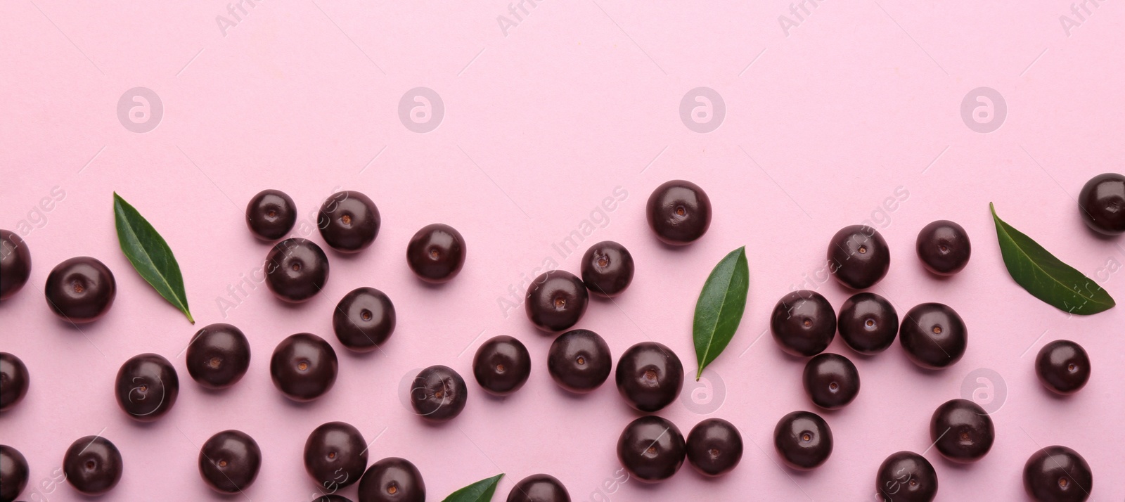 Photo of Fresh acai berries and green leaves on pink background, flat lay. Space for text