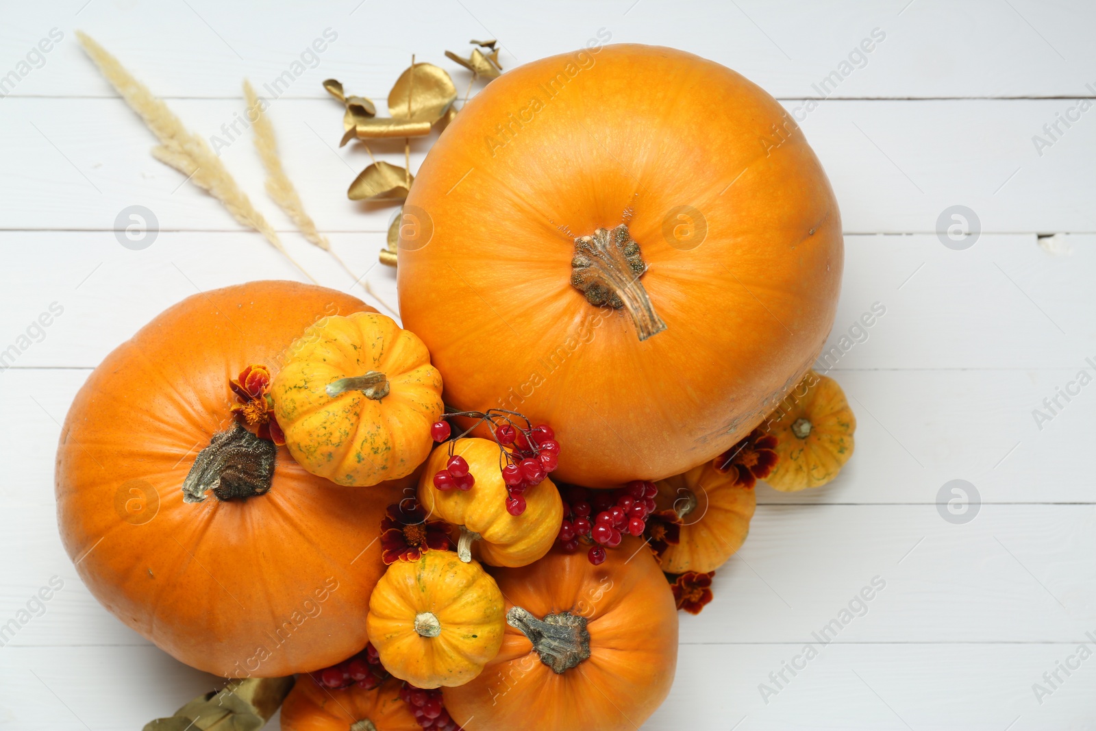 Photo of Thanksgiving day. Flat lay composition with pumpkins on white wooden table