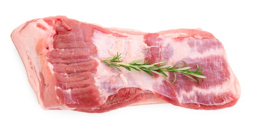 Photo of One piece of raw pork belly and rosemary isolated on white, top view