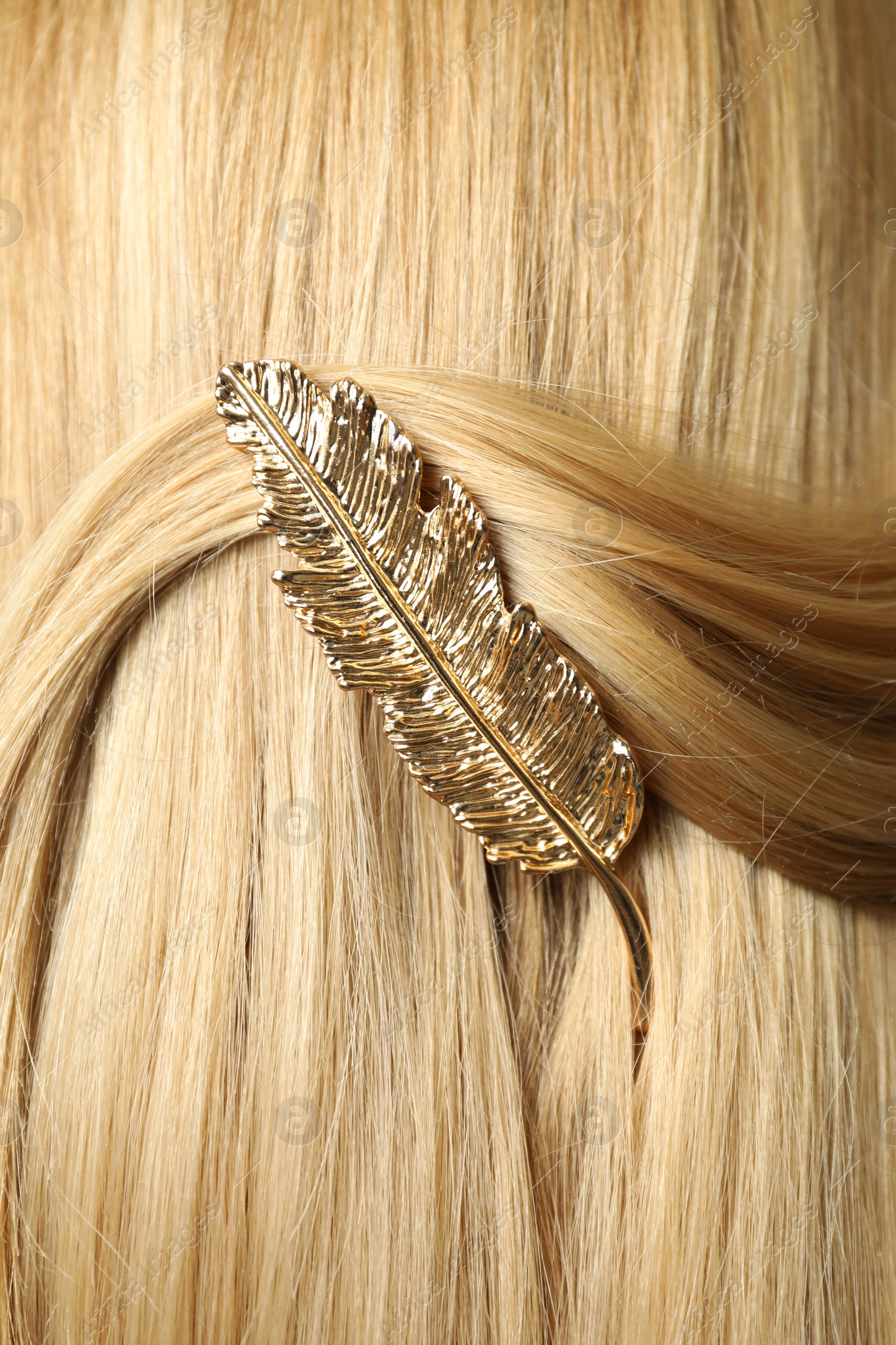 Photo of Woman with beautiful gold hair clip, closeup