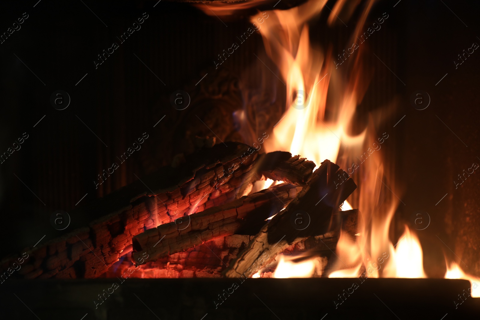 Photo of Bonfire with burning firewood on dark background, closeup