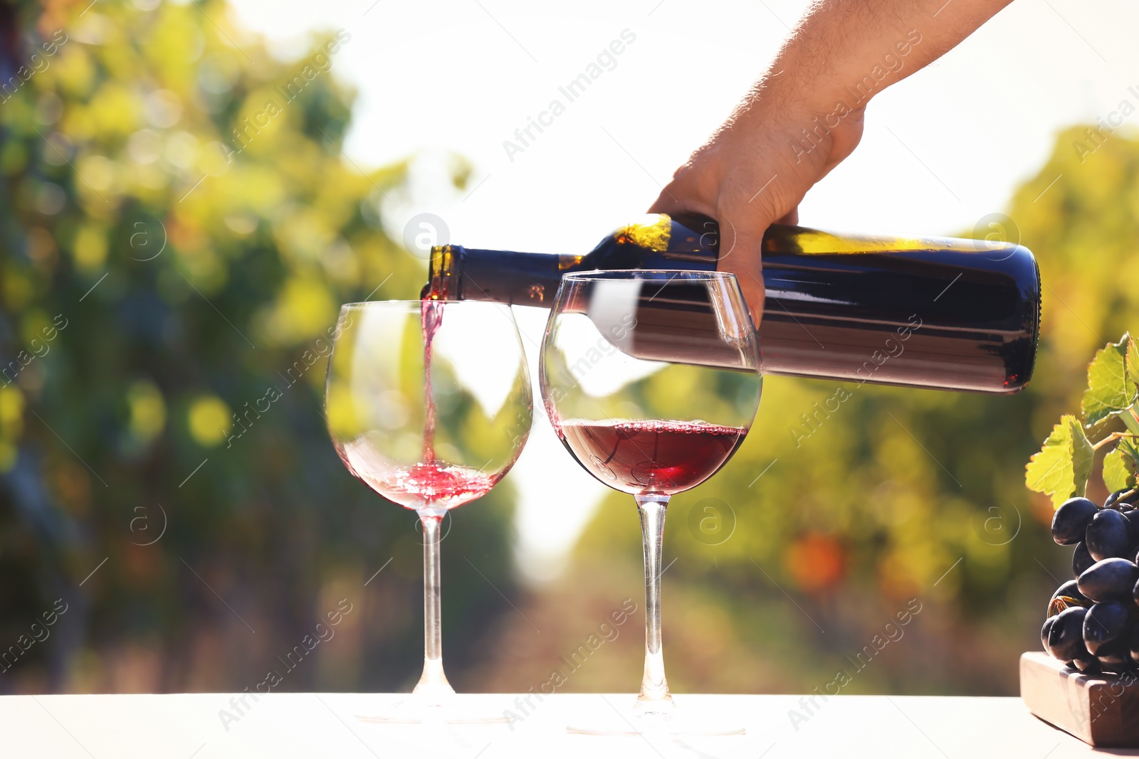 Photo of Man pouring red wine into glass on table outdoors