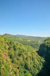 Photo of Picturesque view of mountain forest under beautiful sky, space for text