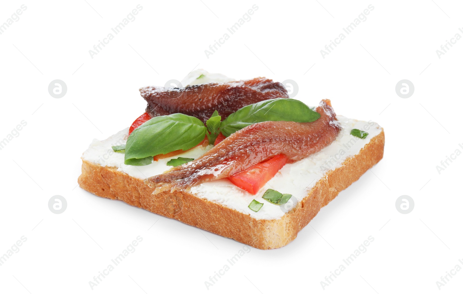 Photo of Delicious sandwich with cream cheese, anchovies, tomatoes and basil on white background