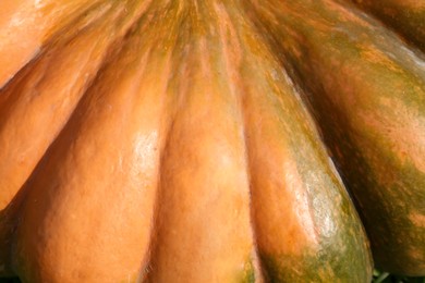 Photo of Ripe pumpkin as background, closeup. Autumn harvest