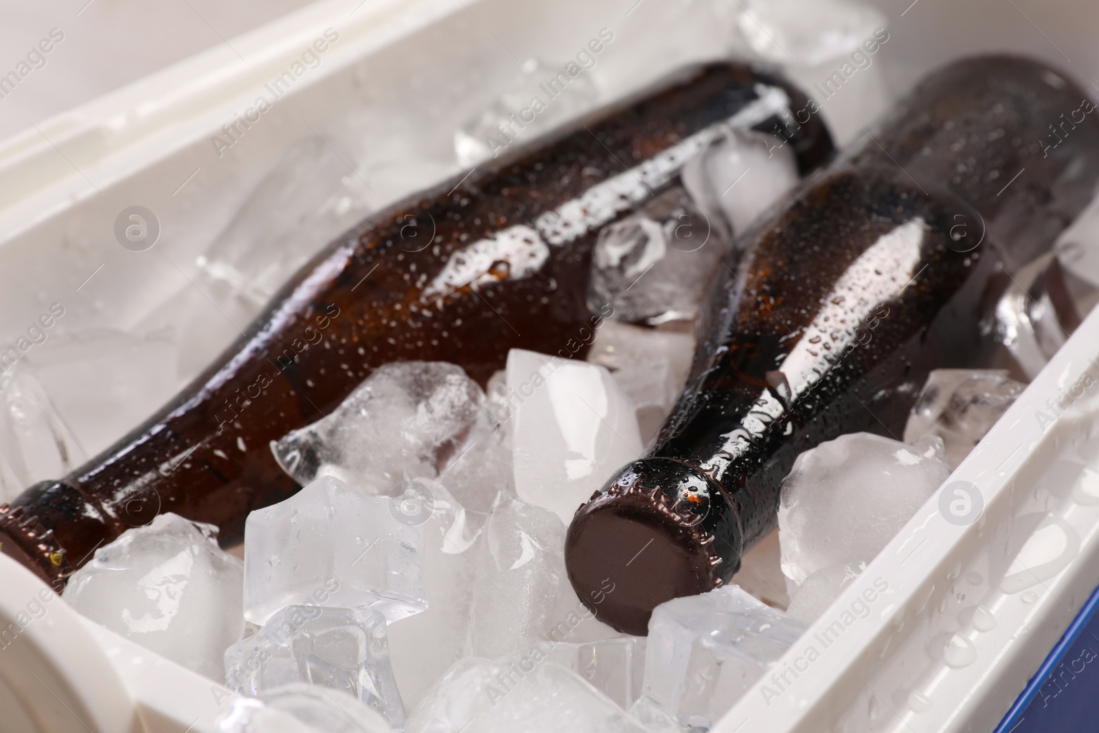 Photo of Plastic cool box with ice cubes and beer, closeup