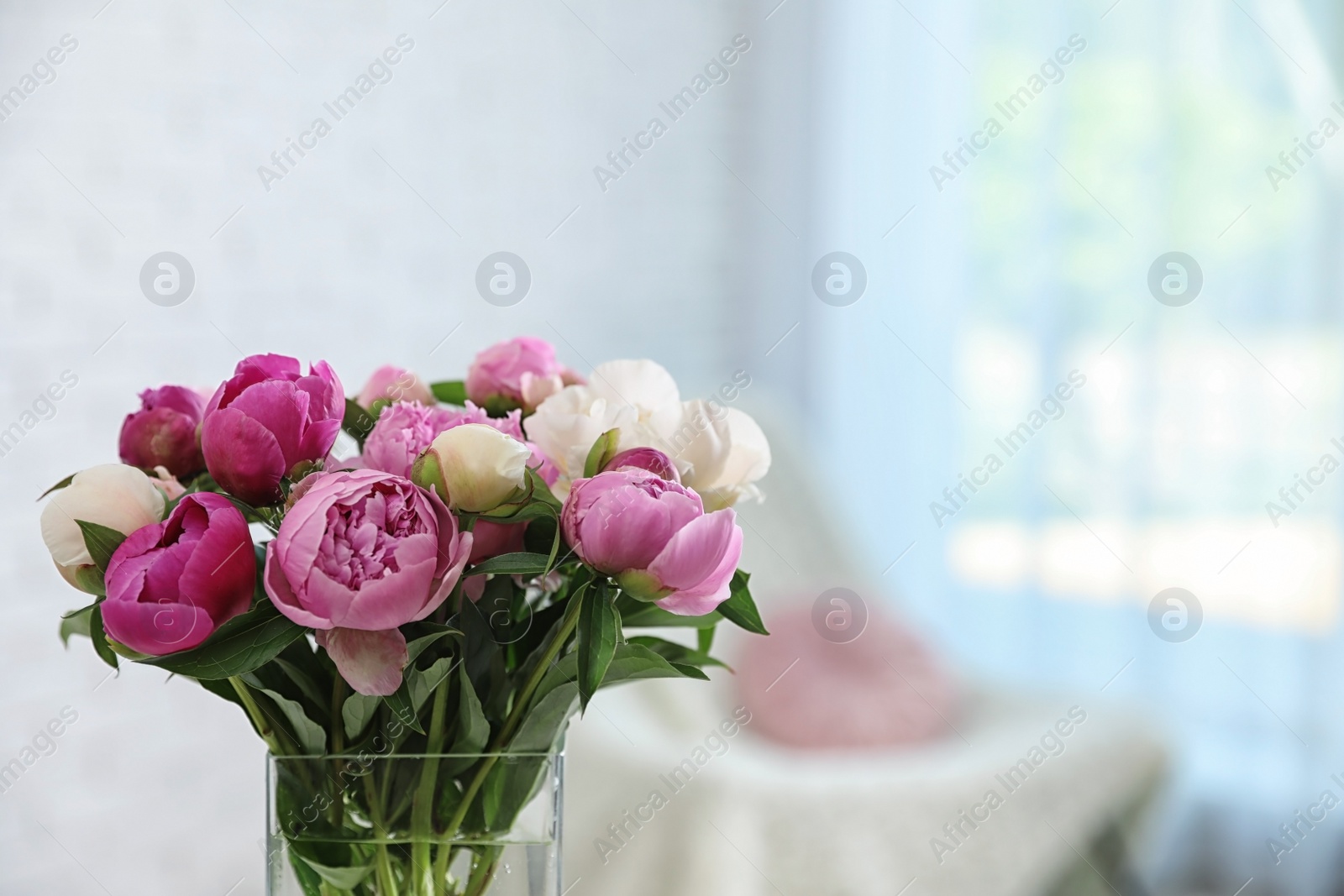 Photo of Vase with bouquet of beautiful peonies in room, space for text