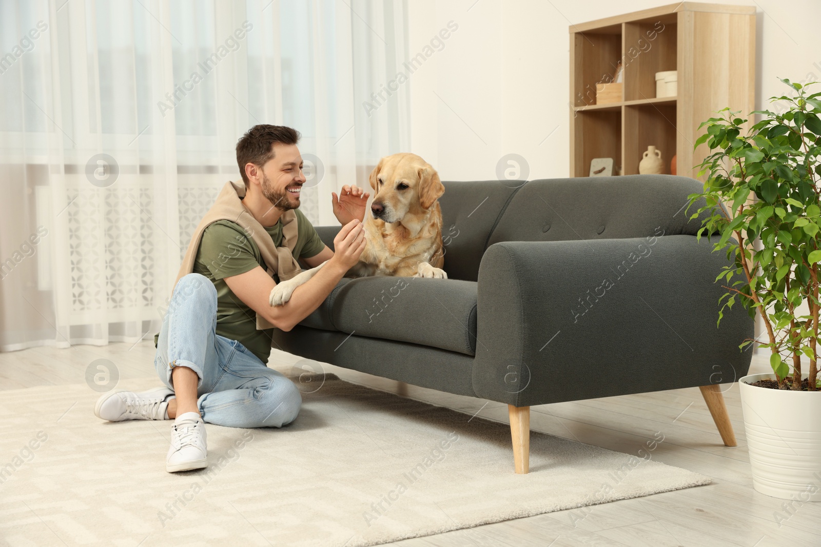 Photo of Happy man with his cute Labrador Retriever at home