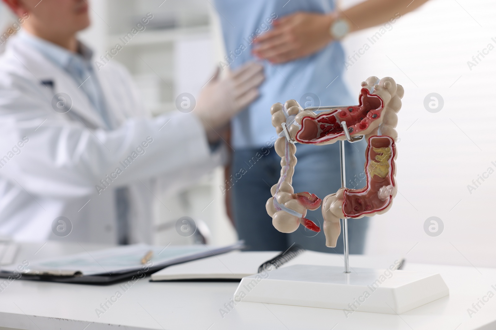 Photo of Gastroenterologist examining patient with stomach pain in clinic, focus on anatomical model of large intestine