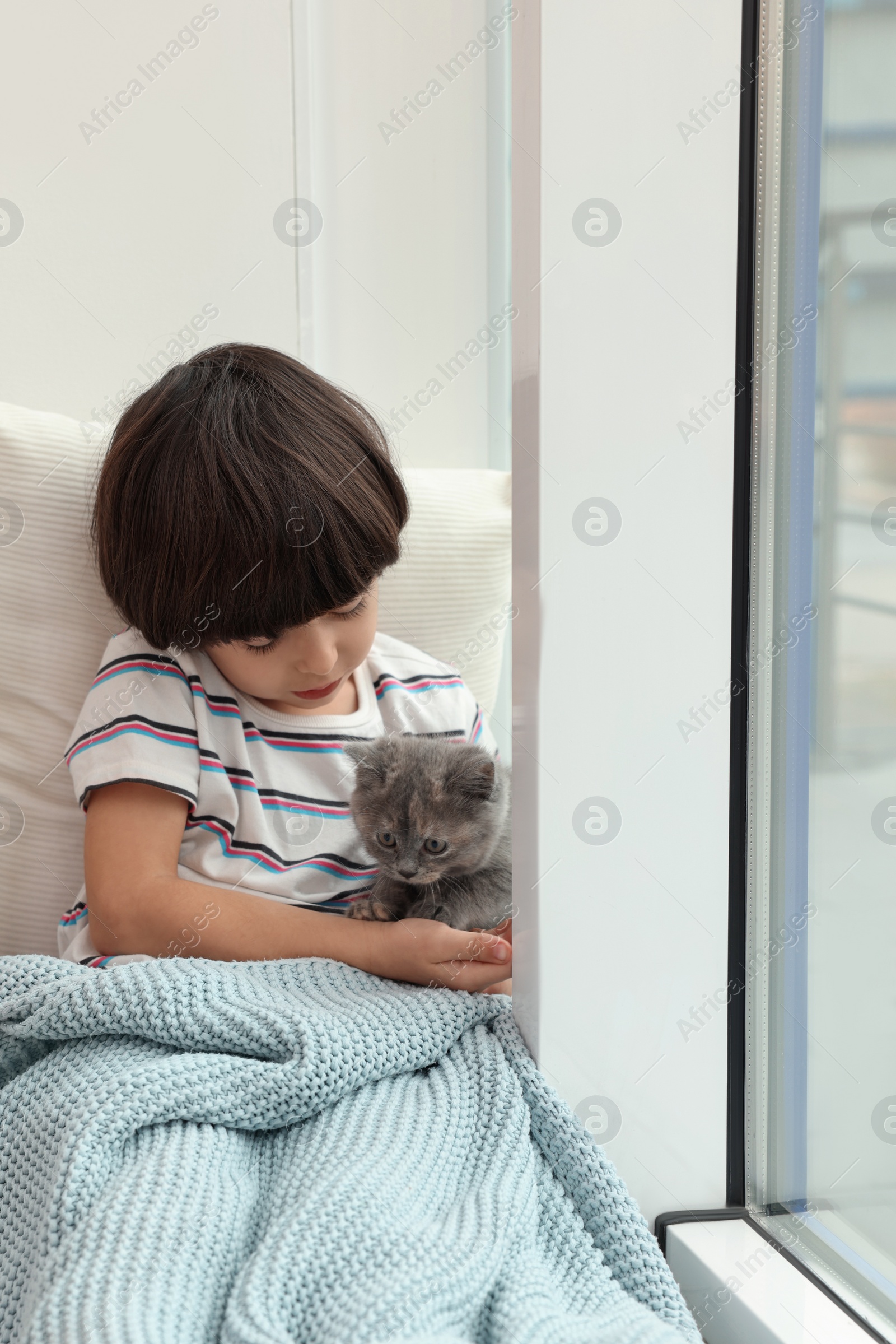 Photo of Cute little boy with kitten near window at home. Childhood pet