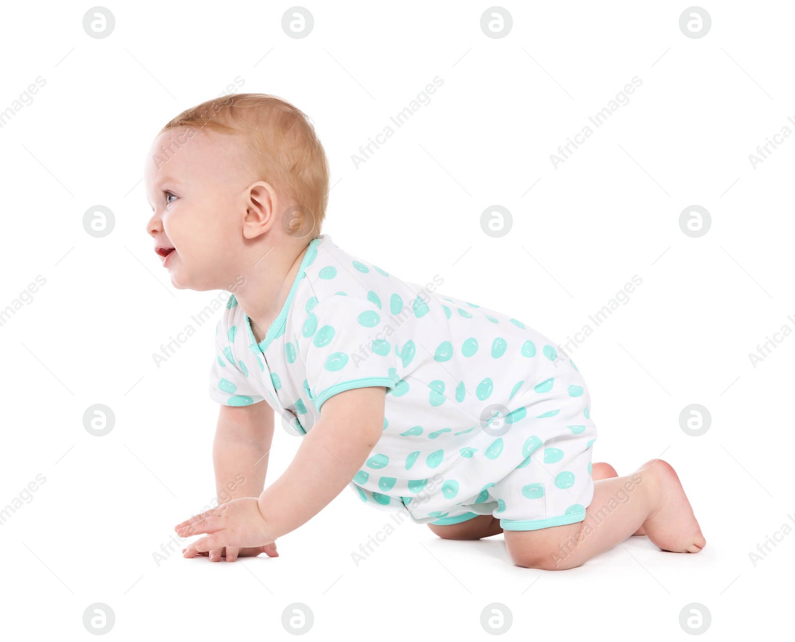 Photo of Cute little baby crawling on white background