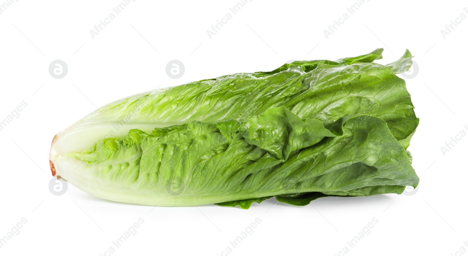 Photo of Fresh green romaine lettuce isolated on white