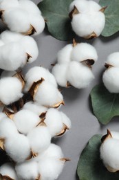 Photo of Cotton flowers and eucalyptus leaves on grey background, closeup