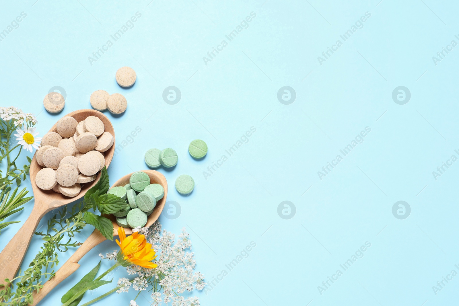 Photo of Different pills, herbs and flowers on light blue background, flat lay with space for text. Dietary supplements