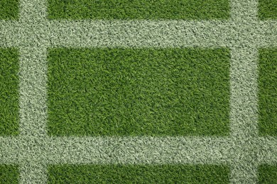 Green grass with white markings, top view