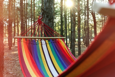 Empty hammock in forest on summer day